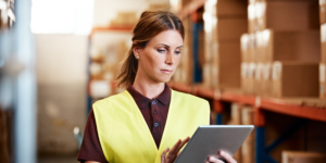 Seasonal Supply Chain
